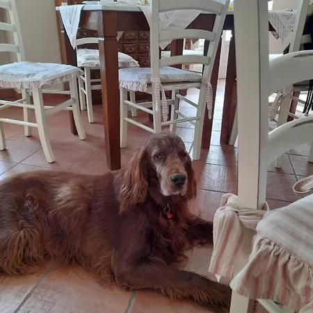 Tenuta Degli Angeli Rossi Bed and Breakfast 4*