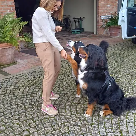 Frühstückspension Tenuta Degli Angeli Rossi