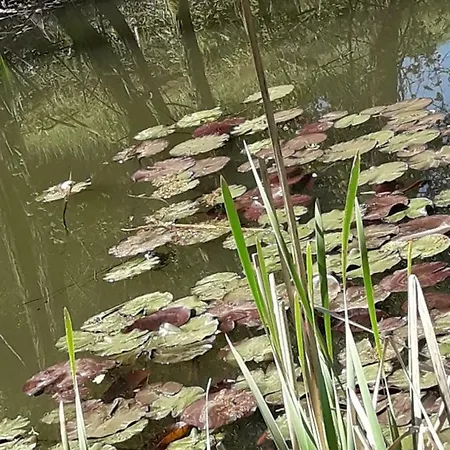 Tenuta Degli Angeli Rossi Bed & Breakfast